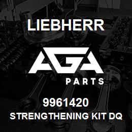 9961420 Liebherr STRENGTHENING KIT DQ | AGA Parts