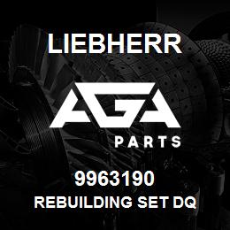 9963190 Liebherr REBUILDING SET DQ | AGA Parts