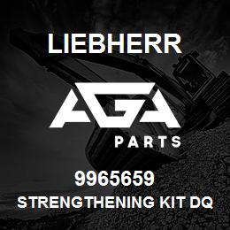 9965659 Liebherr STRENGTHENING KIT DQ | AGA Parts