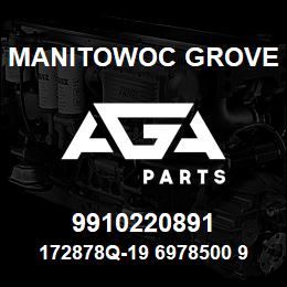 9910220891 Manitowoc Grove 172878Q-19 6978500 98 | AGA Parts