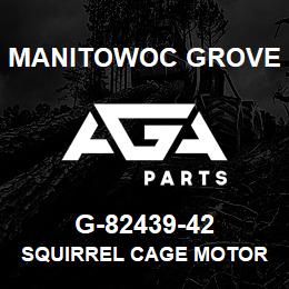 G-82439-42 Manitowoc Grove SQUIRREL CAGE MOTOR | AGA Parts