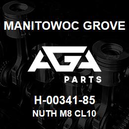 H-00341-85 Manitowoc Grove NUTH M8 CL10 | AGA Parts