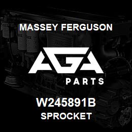 W245891B Massey Ferguson SPROCKET | AGA Parts