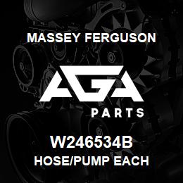 W246534B Massey Ferguson HOSE/PUMP EACH | AGA Parts