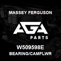 W509598E Massey Ferguson BEARING/CAMFLWR | AGA Parts