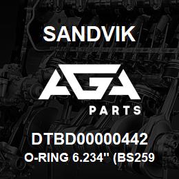 DTBD00000442 Sandvik O-RING 6.234" (BS259) | AGA Parts