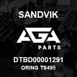 DTBD00001291 Sandvik ORING TS495 | AGA Parts