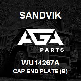 WU14267A Sandvik CAP END PLATE (B) | AGA Parts