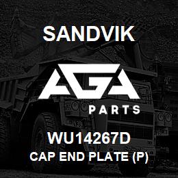 WU14267D Sandvik CAP END PLATE (P) | AGA Parts