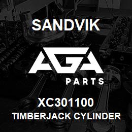 XC301100 Sandvik TIMBERJACK CYLINDER | AGA Parts