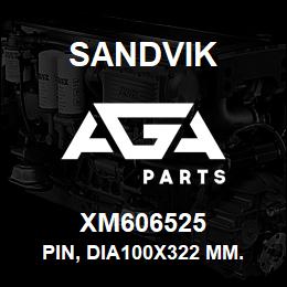 XM606525 Sandvik PIN, DIA100X322 MM. LG SS1100HPGX330 MM. | AGA Parts