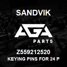 Z559212520 Sandvik KEYING PINS FOR 24 PIN HD UNIT | AGA Parts