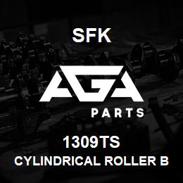 1309TS SFK CYLINDRICAL ROLLER BEARING | AGA Parts