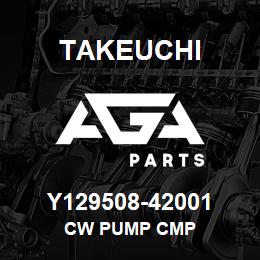 Y129508-42001 Takeuchi CW PUMP CMP | AGA Parts