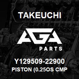 Y129509-22900 Takeuchi PISTON (0.25OS CMP | AGA Parts