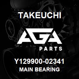 Y129900-02341 Takeuchi MAIN BEARING | AGA Parts