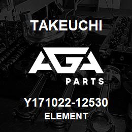 Y171022-12530 Takeuchi ELEMENT | AGA Parts