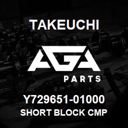 Y729651-01000 Takeuchi SHORT BLOCK CMP | AGA Parts