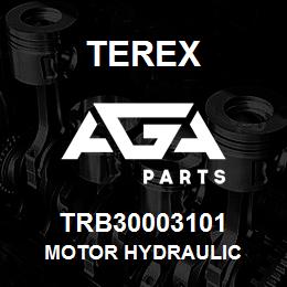 TRB30003101 Terex MOTOR HYDRAULIC | AGA Parts