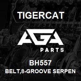 BH557 Tigercat BELT,8-GROOVE SERPENTINE | AGA Parts