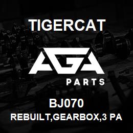 BJ070 Tigercat REBUILT,GEARBOX,3 PAD PUMP, DURST | AGA Parts