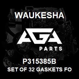 P315385B Waukesha SET OF 32 GASKETS FOR P315385 | AGA Parts