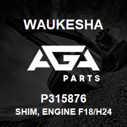 P315876 Waukesha SHIM, ENGINE F18/H24 0.025 | AGA Parts