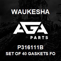 P316111B Waukesha SET OF 40 GASKETS FOR P316111 | AGA Parts