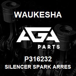 P316232 Waukesha SILENCER SPARK ARREST 10 IN EM | AGA Parts