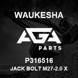 P316516 Waukesha JACK BOLT M27-2.0 X 100 | AGA Parts