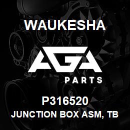 P316520 Waukesha JUNCTION BOX ASM, TB6 (DC) | AGA Parts