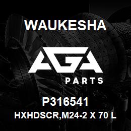 P316541 Waukesha HXHDSCR,M24-2 X 70 LG FULTHRD | AGA Parts