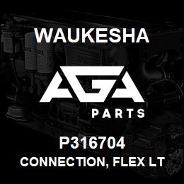 P316704 Waukesha CONNECTION, FLEX LT IN DN125 | AGA Parts