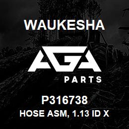 P316738 Waukesha HOSE ASM, 1.13 ID X 36.59 LG. | AGA Parts