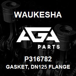 P316782 Waukesha GASKET, DN125 FLANGE | AGA Parts