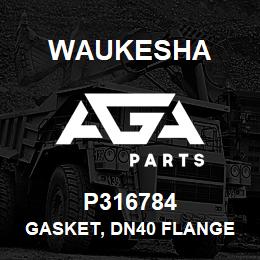 P316784 Waukesha GASKET, DN40 FLANGE | AGA Parts