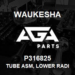 P316825 Waukesha TUBE ASM, LOWER RADIATOR | AGA Parts