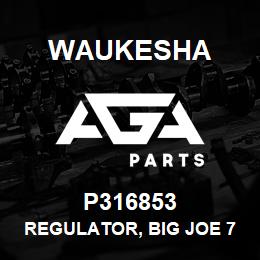 P316853 Waukesha REGULATOR, BIG JOE 750/27-50 | AGA Parts