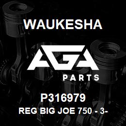 P316979 Waukesha REG BIG JOE 750 - 3-10PSIG 2 IN | AGA Parts