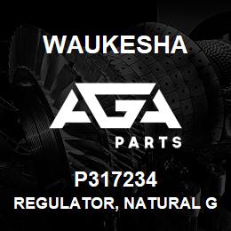 P317234 Waukesha REGULATOR, NATURAL GAS, FISHER MODEL 66 | AGA Parts