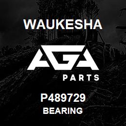 P489729 Waukesha BEARING | AGA Parts