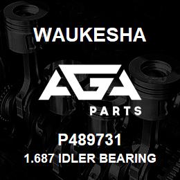 P489731 Waukesha 1.687 IDLER BEARING | AGA Parts