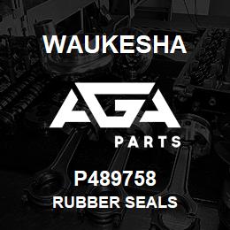 P489758 Waukesha RUBBER SEALS | AGA Parts