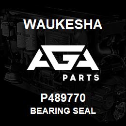 P489770 Waukesha BEARING SEAL | AGA Parts