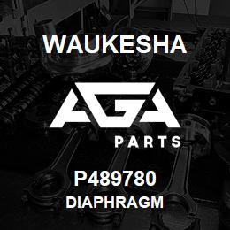 P489780 Waukesha DIAPHRAGM | AGA Parts