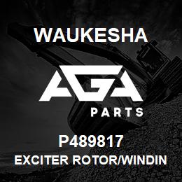 P489817 Waukesha EXCITER ROTOR/WINDING | AGA Parts