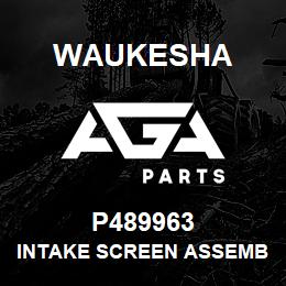 P489963 Waukesha INTAKE SCREEN ASSEMBLY | AGA Parts