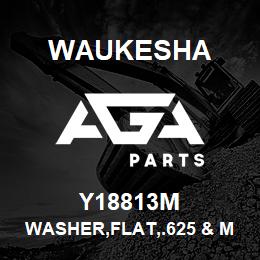 Y18813M Waukesha WASHER,FLAT,.625 & M16 | AGA Parts