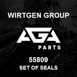 55809 Wirtgen Group SET OF SEALS | AGA Parts