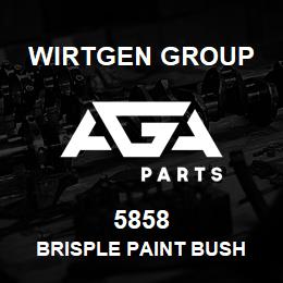 5858 Wirtgen Group BRISPLE PAINT BUSH | AGA Parts